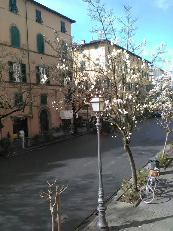 Suite Sofia Lucca Dış mekan fotoğraf