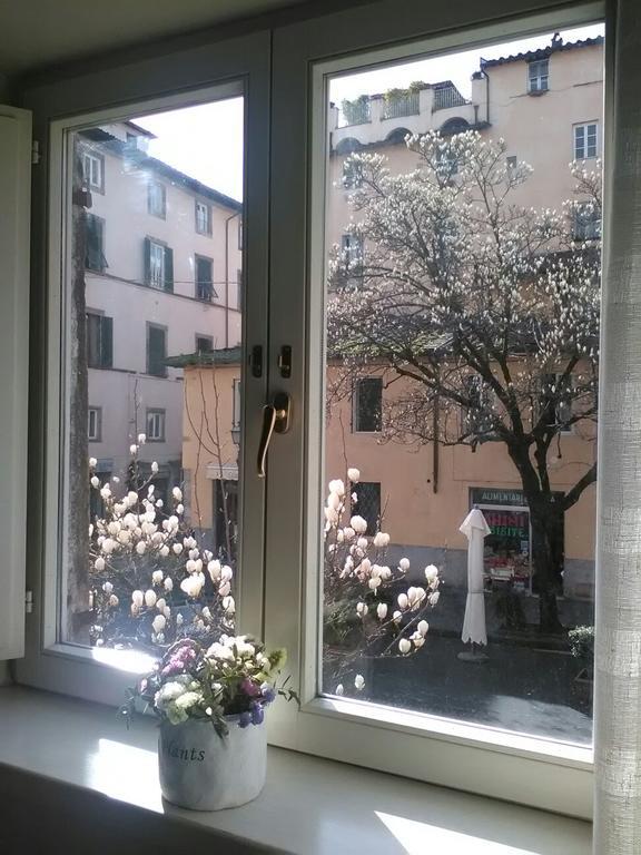 Suite Sofia Lucca Dış mekan fotoğraf